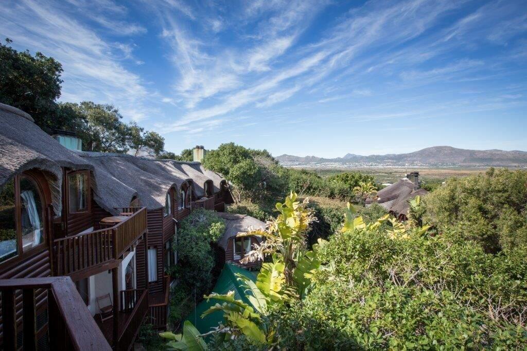 Monkey Valley Resort Noordhoek Ngoại thất bức ảnh